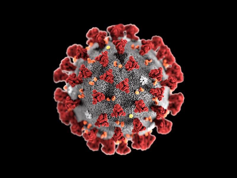 Covid-19: le consortium Anti-Covid mène une étude clinique dans 13 pays d&rsquo;Afrique dont la RDC.