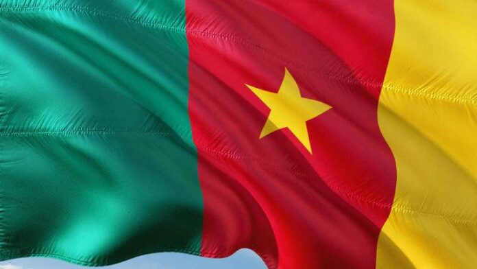 drapeau-cameroun-768x432