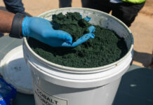 Mines-Quotas de minerais congolais : le cobalt au cœur des tensions du marché mondial