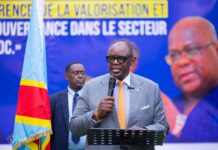 Louis Watum Kabamba : le retour du leadership politique au cœur du secteur minier congolais