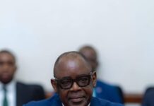 Mines : Louis Watum Kabamba face au Sénat sur les garanties environnementales et la filière cobalt