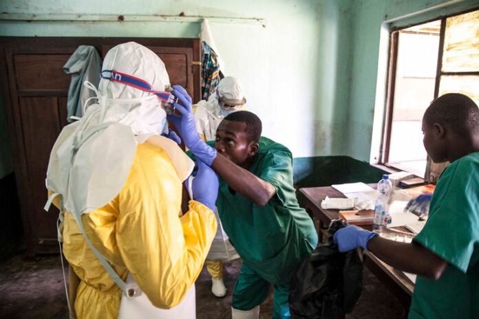 135-163847-virus-marburg-ebola-3