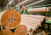 Bois du bassin du Congo : la RDC s’inspire du modèle gabonais pour sa transformation industrielle