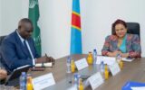 RDC : Affaires étrangères et Économie numérique coordonnent la mise en place du e-visa